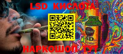 прущие грибы Канаш