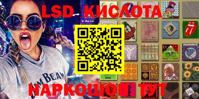 прущие грибы Кандалакша