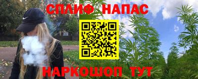 прущие грибы Канаш