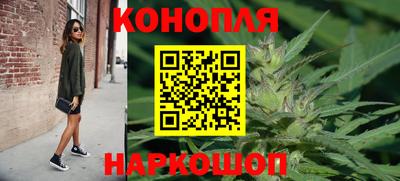 прущие грибы Кандалакша