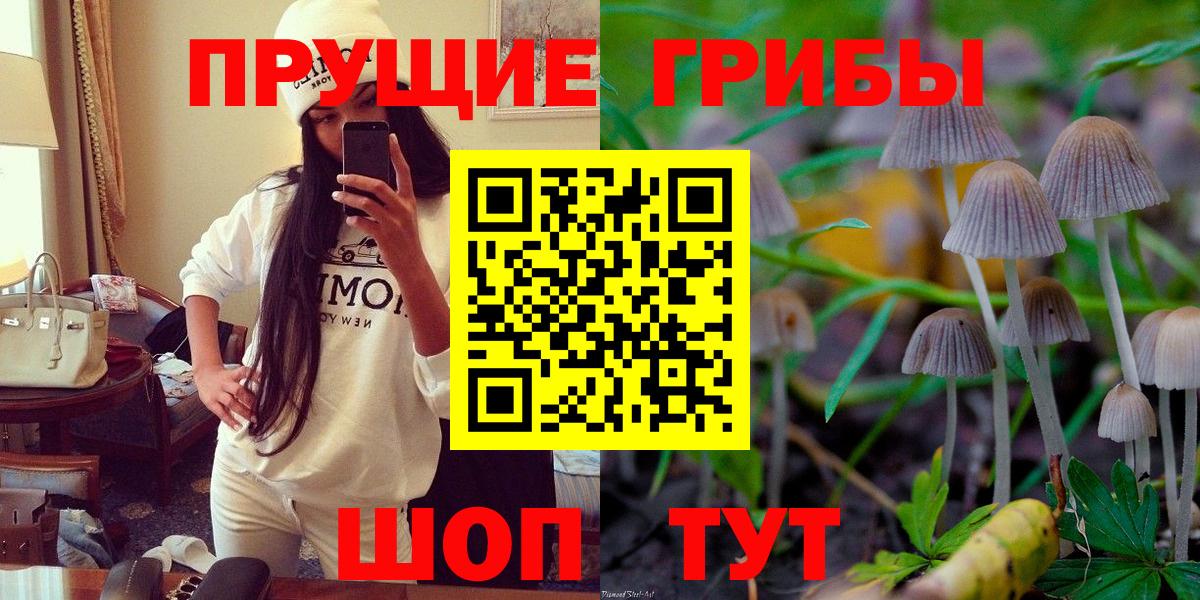 Кузнецк  Галлюциногенные грибы GOLDEN TEACHER  Вход с VPN 