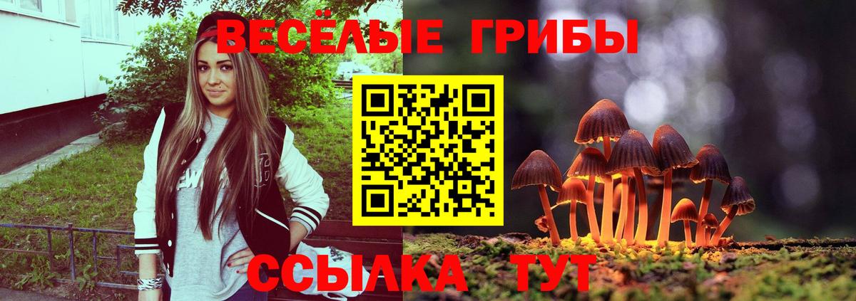 Галлюциногенные грибы мухоморы Кузнецк